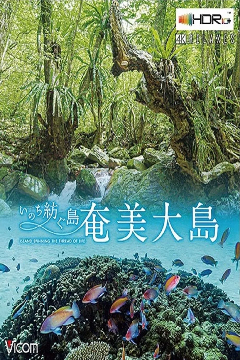 Đảo Amami Oshima | Amami Ashima Island (2020) Đảo Amami Oshima | Amami Ashima Island (2020)
