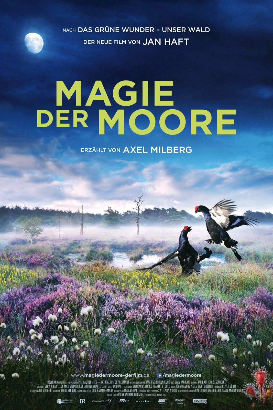 Magie der Moore | Magie der Moore (2015) Magie der Moore | Magie der Moore (2015)